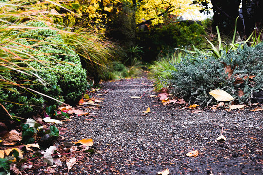 Footpaths and Sidewalks