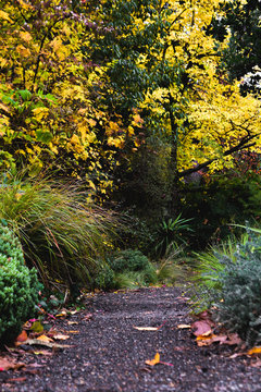 Footpaths and Sidewalks