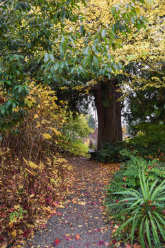 Footpaths and Sidewalks