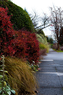 Footpaths and Sidewalks