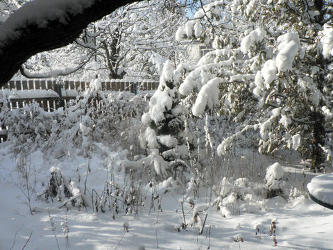Зима  Winter  001