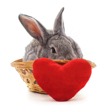 Little Bunny In A Basket With The Heart.