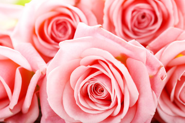 Bouquet of pink roses background