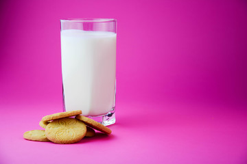 A glass of milk with a milk biscuits on a pastel pink background. Six milk biscuits on pink background. Copy space. Horizontal. Natural healthy food and organic farming concept.