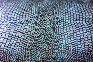 Abstract Coloured Real Snake Skin Snakeskin Animal Print Background