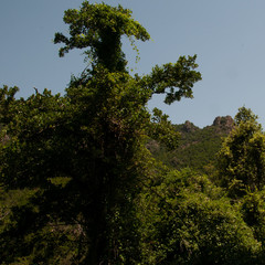 Sardinien