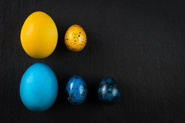 yellow and blue easter eggs chicken and quail symbolic