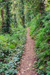 Route