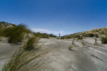 lonely men at new zealand beach