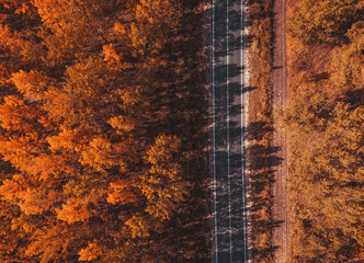 Aerial view of empty road through forest in autumn