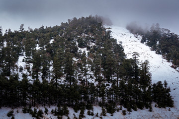 A cold beautiful snowy day in michlifen in winter