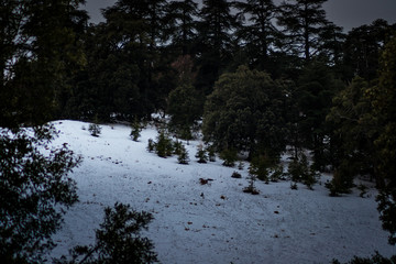 A cold beautiful snowy day in michlifen in winter