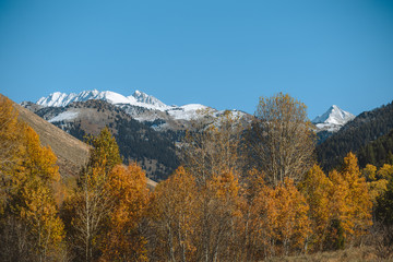 Sun Valley Idaho Fall Colors 8