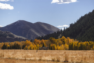 Sun Valley Idaho Fall Colors 6