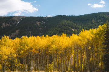 Sun Valley Idaho Fall Colors 5