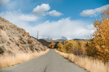 Sun Valley Idaho Fall Colors 4