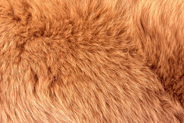Natural fur of red polar fox closeup, may be used as background or texture