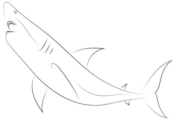 Fototapeta premium Black line shark attacks on white background. Shark. Sketch style. Vector graphic icon animal.