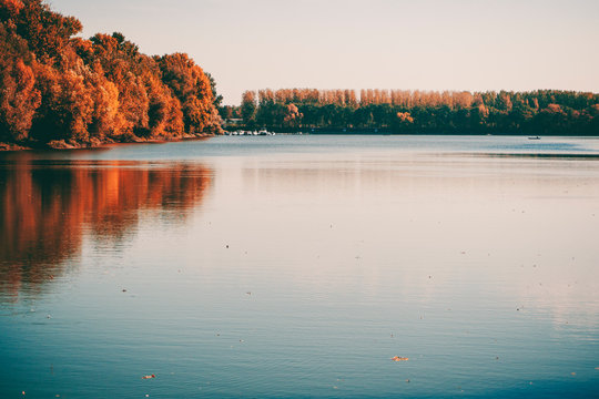 Lake surrounded with trees 