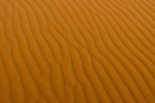 Waves of the desert