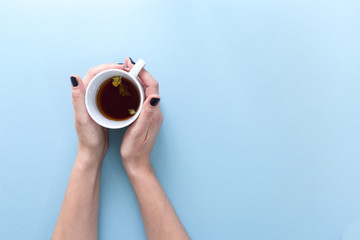 Hands holding a cup of freshly brewed mountain tea, on blue background.