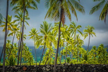 Obraz premium Hawaii