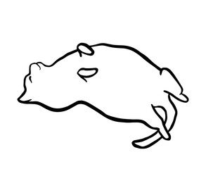 Funny hand drawn fat cat lying