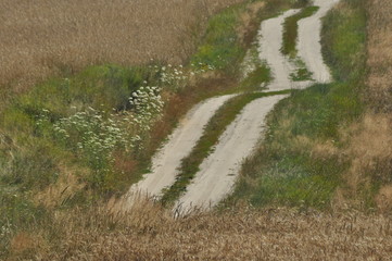 A country road through farmland. Sandy hills on the way. Country landscape.