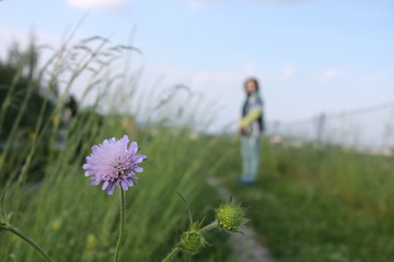woman in field of flowers