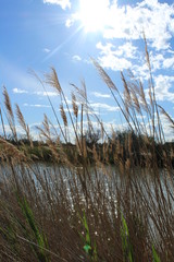 Der Himmel &uuml;ber der zauberhaften Camargue