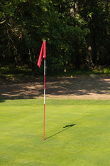 Obraz premium Flag with a mast on a golf course in a hole.