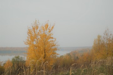 Fototapeta na wymiar Morning mood in autumn on the water with fog, lake and colorful foliage at the trees
