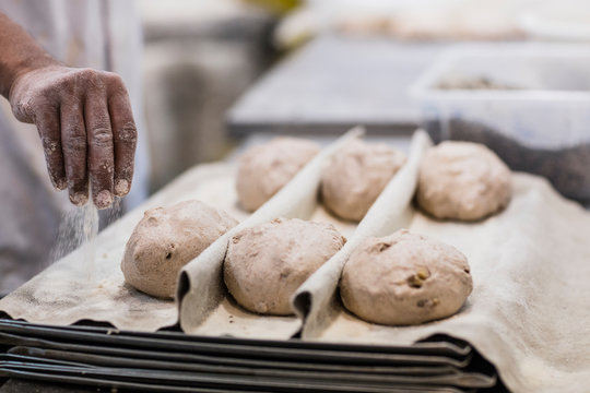 Bakers hand sparkling flour fon bread rolls