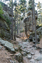 A rocky path to the rocks.
