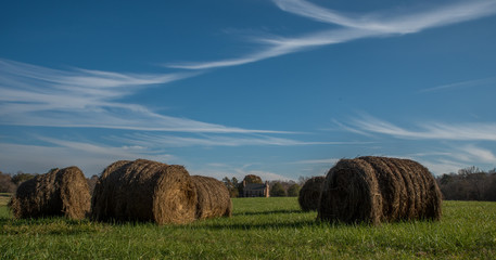 Field of rolled cut straw North Carolina