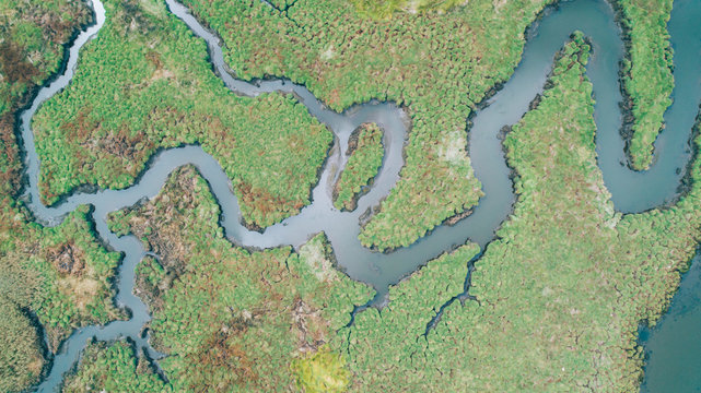 River aerial view