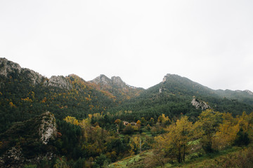 Mountains green fields landscape in Alps 
