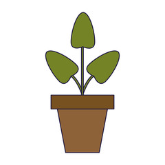 Plant pot isolated blue lines
