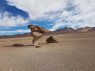 Bolivia National Park rock