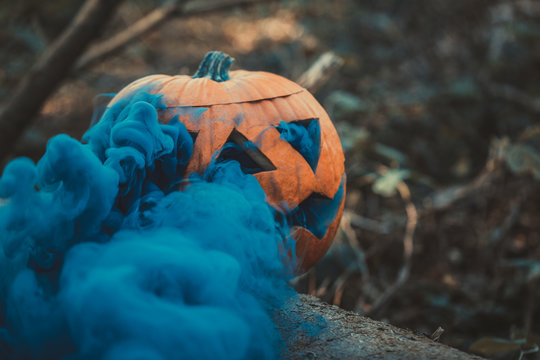 Pumpkin with smoke in the forest
