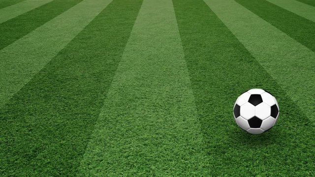 Beautiful bouncing and rotating soccer ball on football field copy space background. 