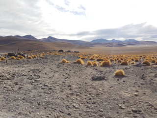 Bolivia National Park