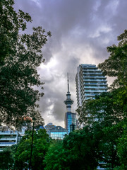 Fototapeta na wymiar View to the Sky Tower from Albert Park, New Zealand