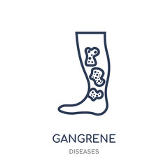 Gangrene icon. Gangrene linear symbol design from Diseases collection.