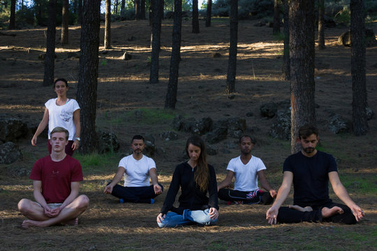 Mindfulness Teacher Guiding Multi Ethnic Group Of Students In Pine Trees Forest Park. Female Instructor Leading Meditation Class In Nature. Young People Sitting On Lotus Pose In Outdoor Class