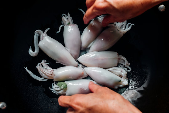 seafood squid