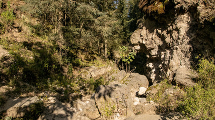 Obraz premium The road to the top of the volcano Orizabo lies through the forest. This wild and slightly mystical. There are no birds singing, there is silence