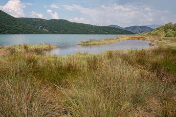 Fototapeta na wymiar Wetlands in the southern part of Lake Butrint, Albania