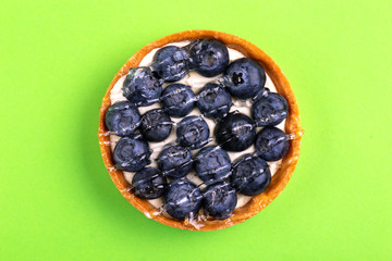 Delicious blueberry tartlet with vanilla cream on bright green background