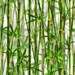Bamboo watercolor stems and leaves seamless pattern on white background